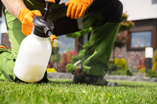 Best Local Pest Control Services  in Brooksi, DE