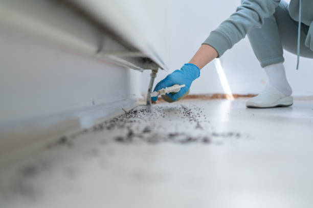 Best Cockroach Control Services  in Brooksi, DE